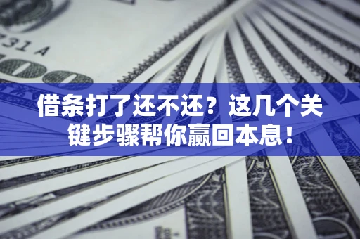 武汉借条打了还不还？这几个关键步骤帮你赢回本息！