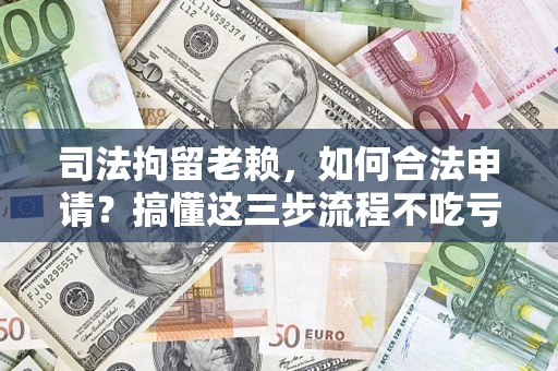 武汉司法拘留老赖，如何合法申请？搞懂这三步流程不吃亏！