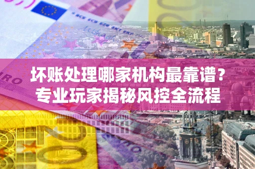 武汉坏账处理哪家机构最靠谱？专业玩家揭秘风控全流程