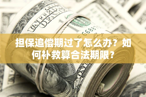 武汉担保追偿期过了怎么办？如何补救算合法期限？