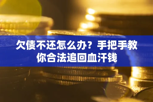 武汉欠债不还怎么办?手把手教你合法追回血汗钱 武汉欠债不还怎么办?手把手教你合法追回血汗钱